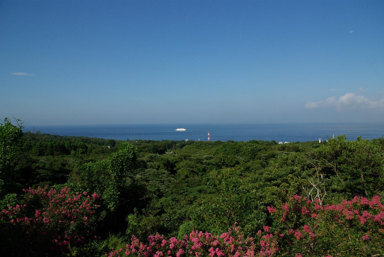 伊豆大島 ホテル＆リゾート マシオ エクステリア 写真